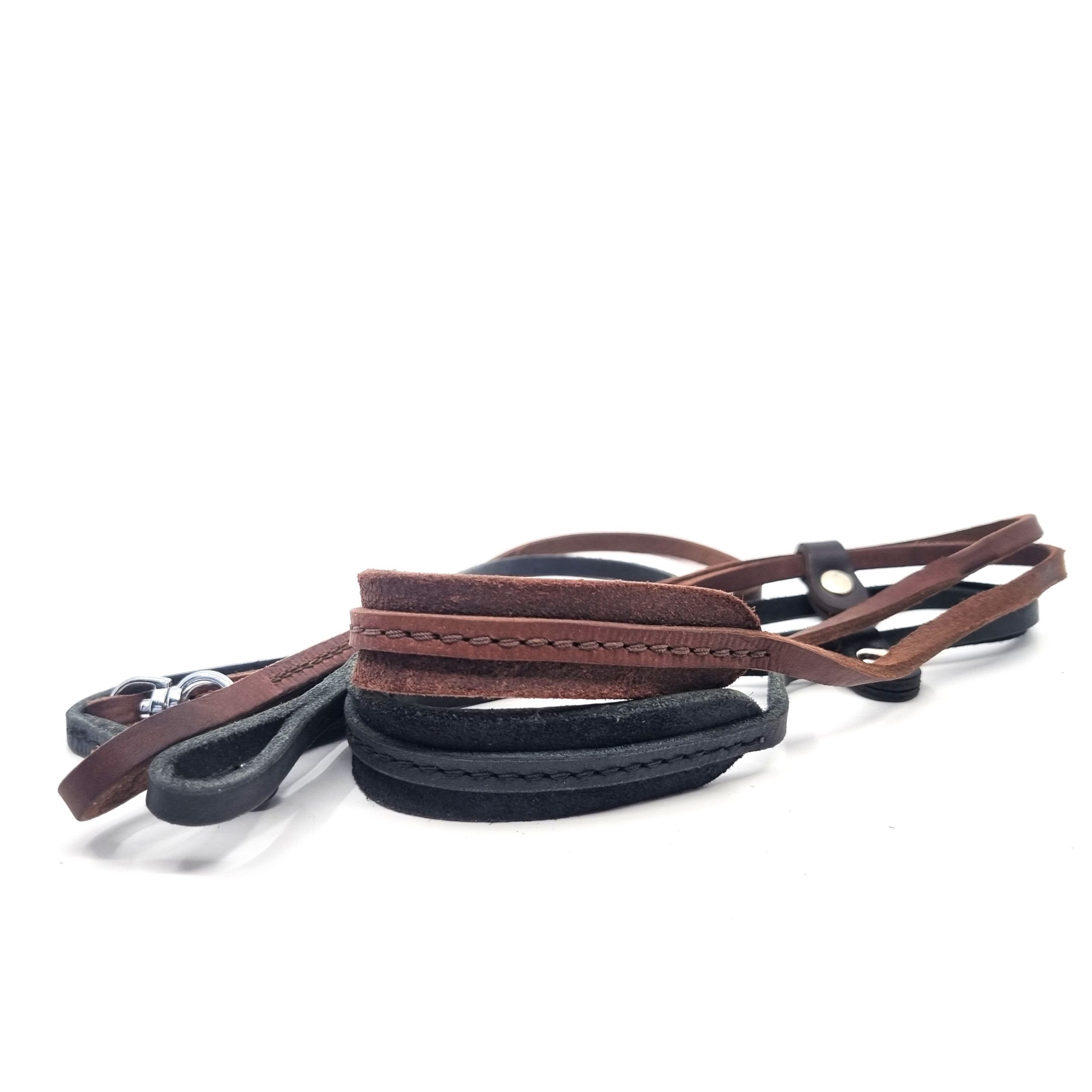 Utställningskoppel Doberman