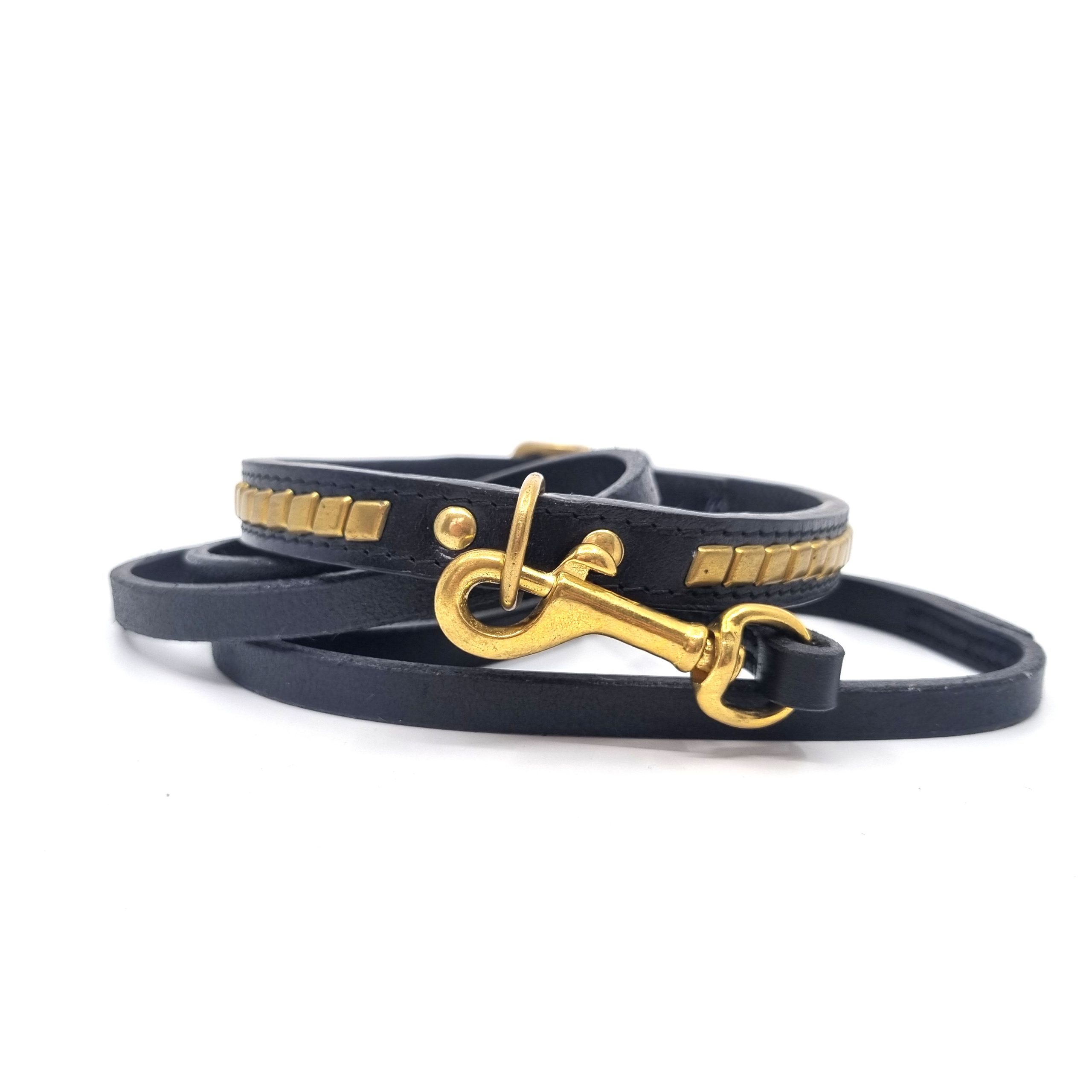 Utställningskoppel Staffordshire Bullterrier