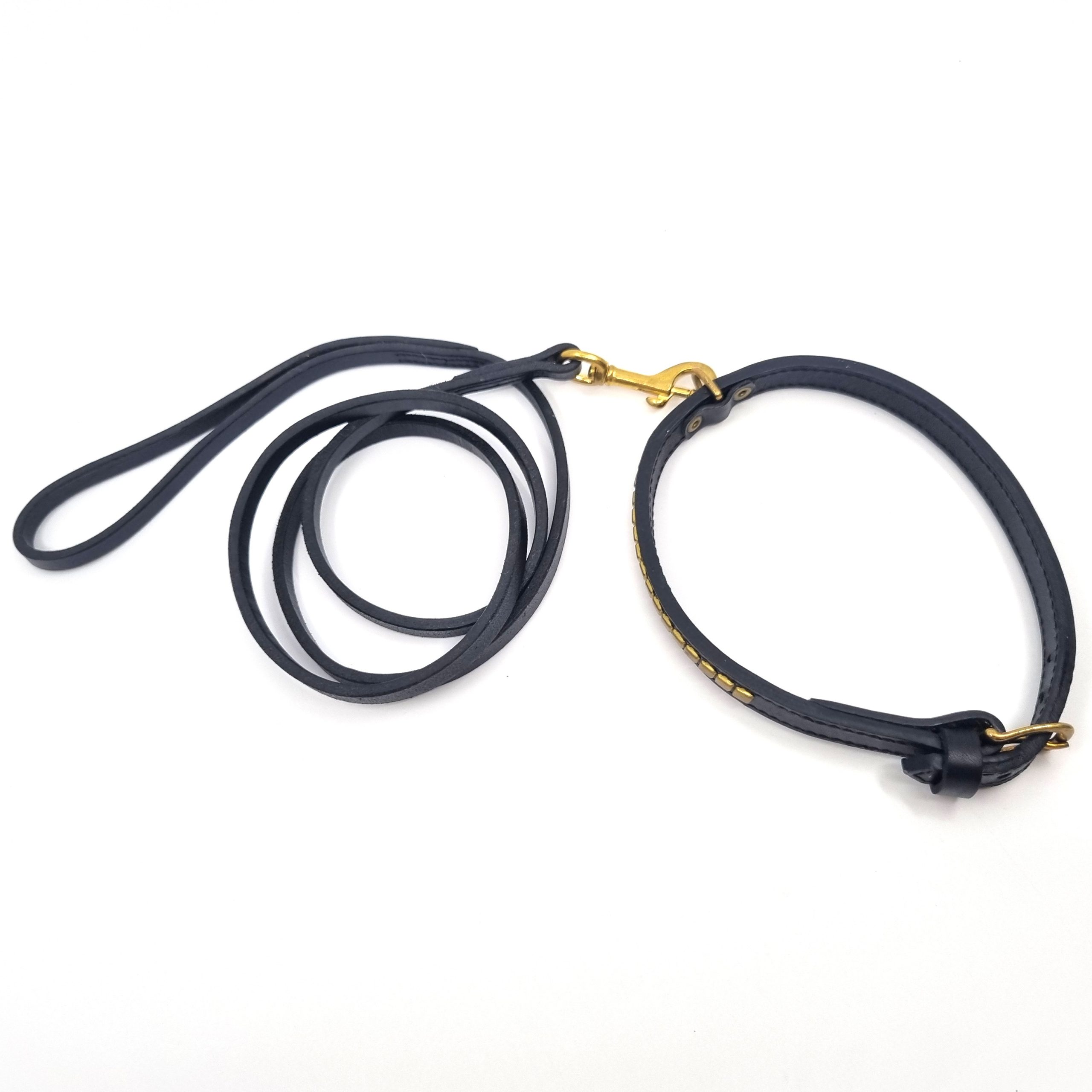 Utställningskoppel Staffordshire Bullterrier - Bild 5