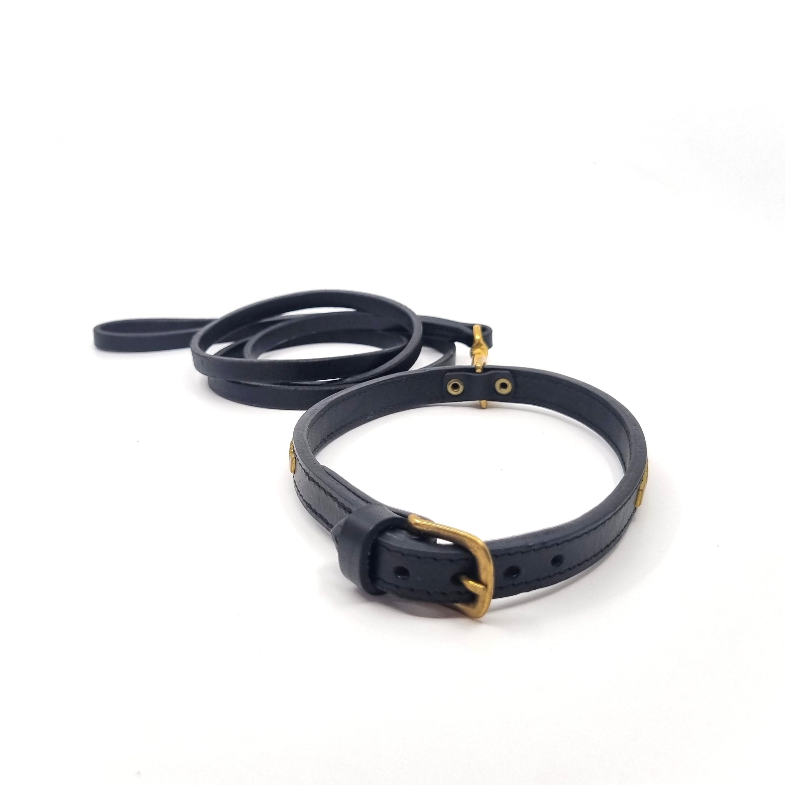 Utställningskoppel Staffordshire Bullterrier - Bild 4