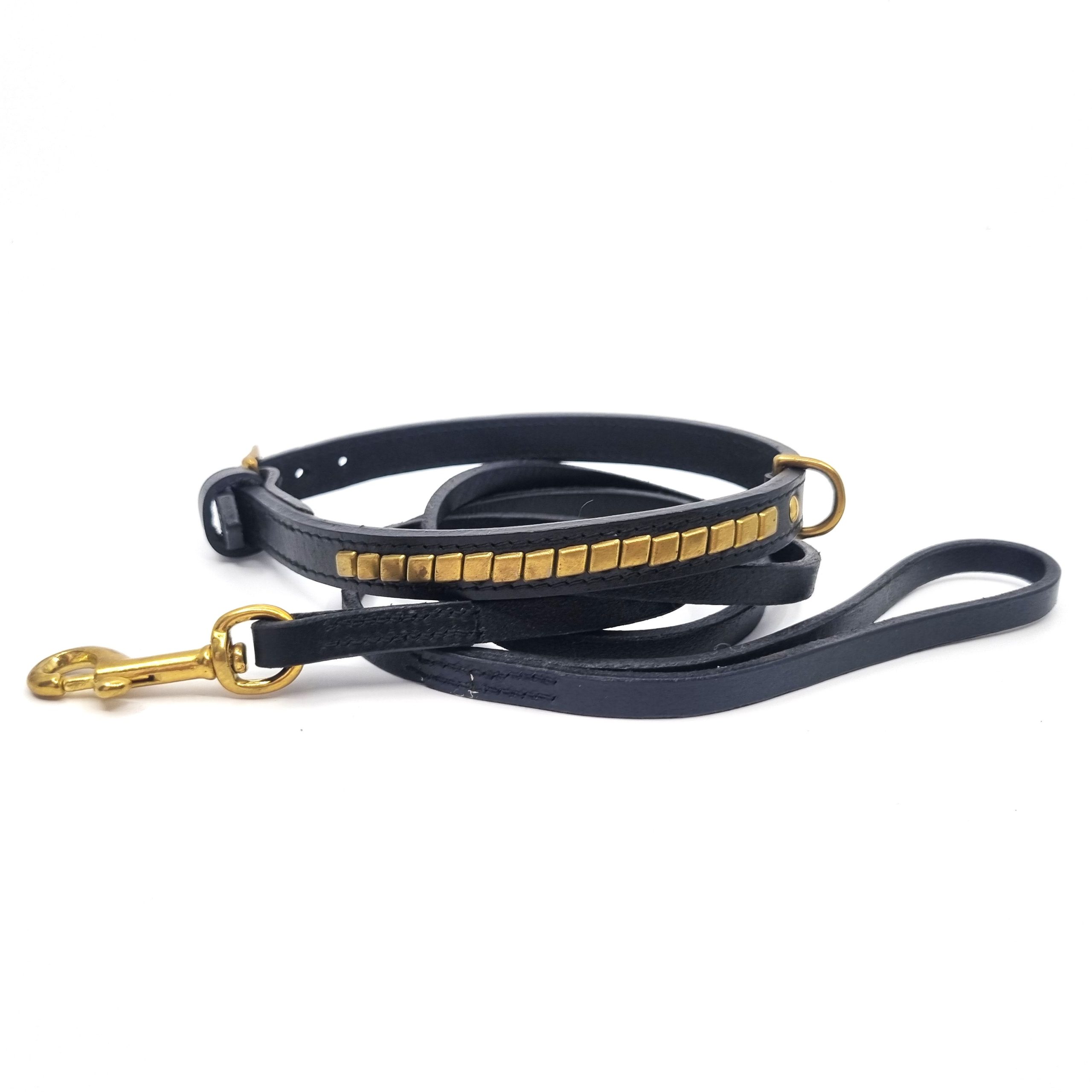 Utställningskoppel Staffordshire Bullterrier - Bild 2